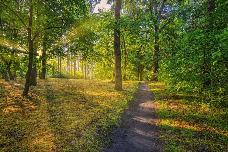 What No One Tells You About Addiction Recovery: 6 Truths That Can Save Your Life